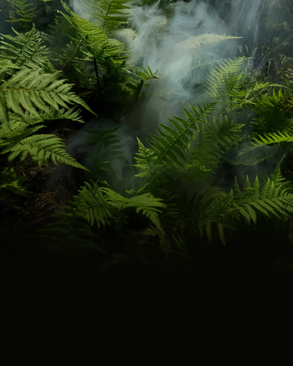 countries-component.types.1.title